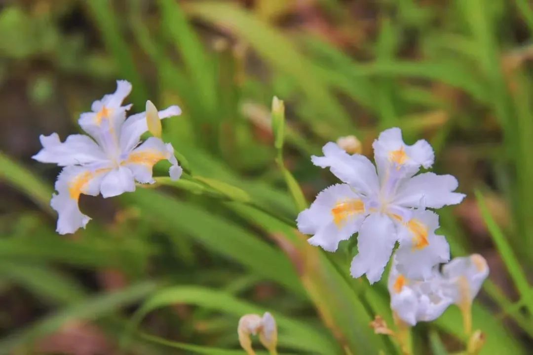 中国·1277星际电子游戏(股份有限公司)-Official website