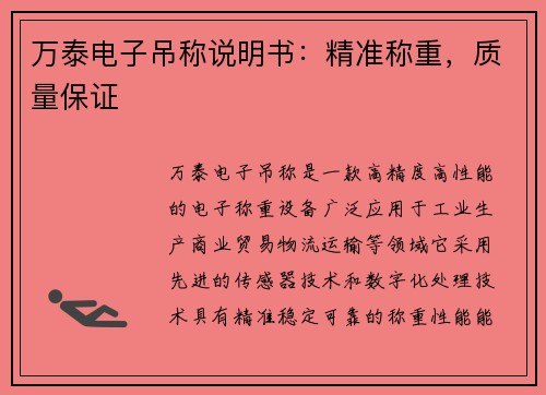 万泰电子吊称说明书：精准称重，质量保证